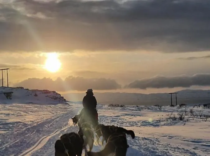 Varangertunet Oda ve Kahvaltı 4*