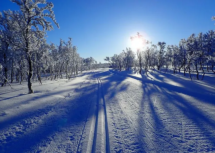Varangertunet 4*