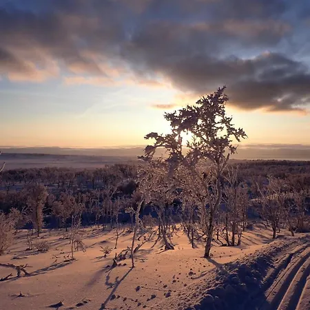 Varangertunet Jakobselv