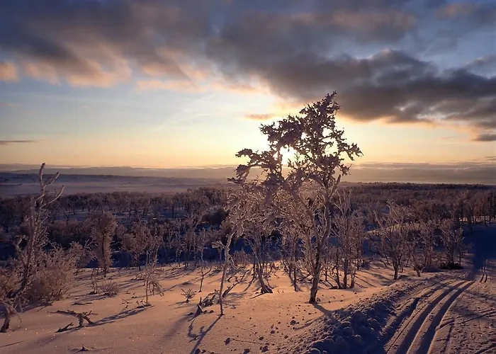 Varangertunet Jakobselv