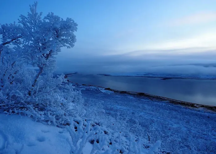 Couette-café Varangertunet Jakobselv